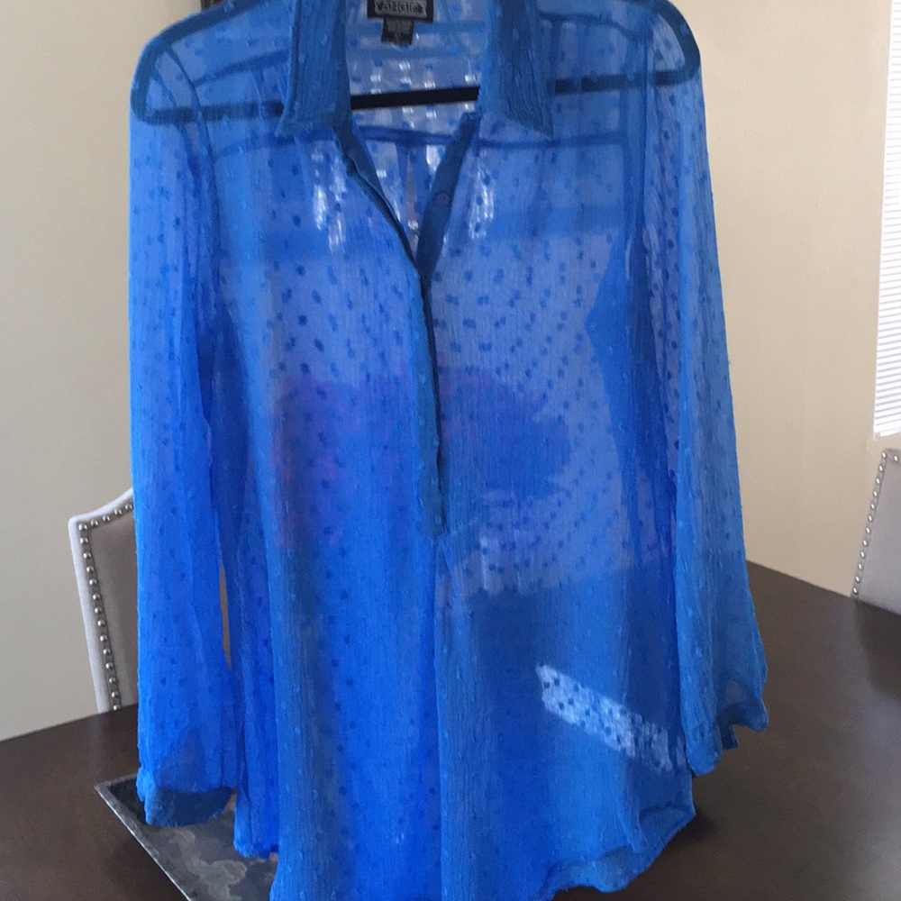 Sheer sky blue blouse